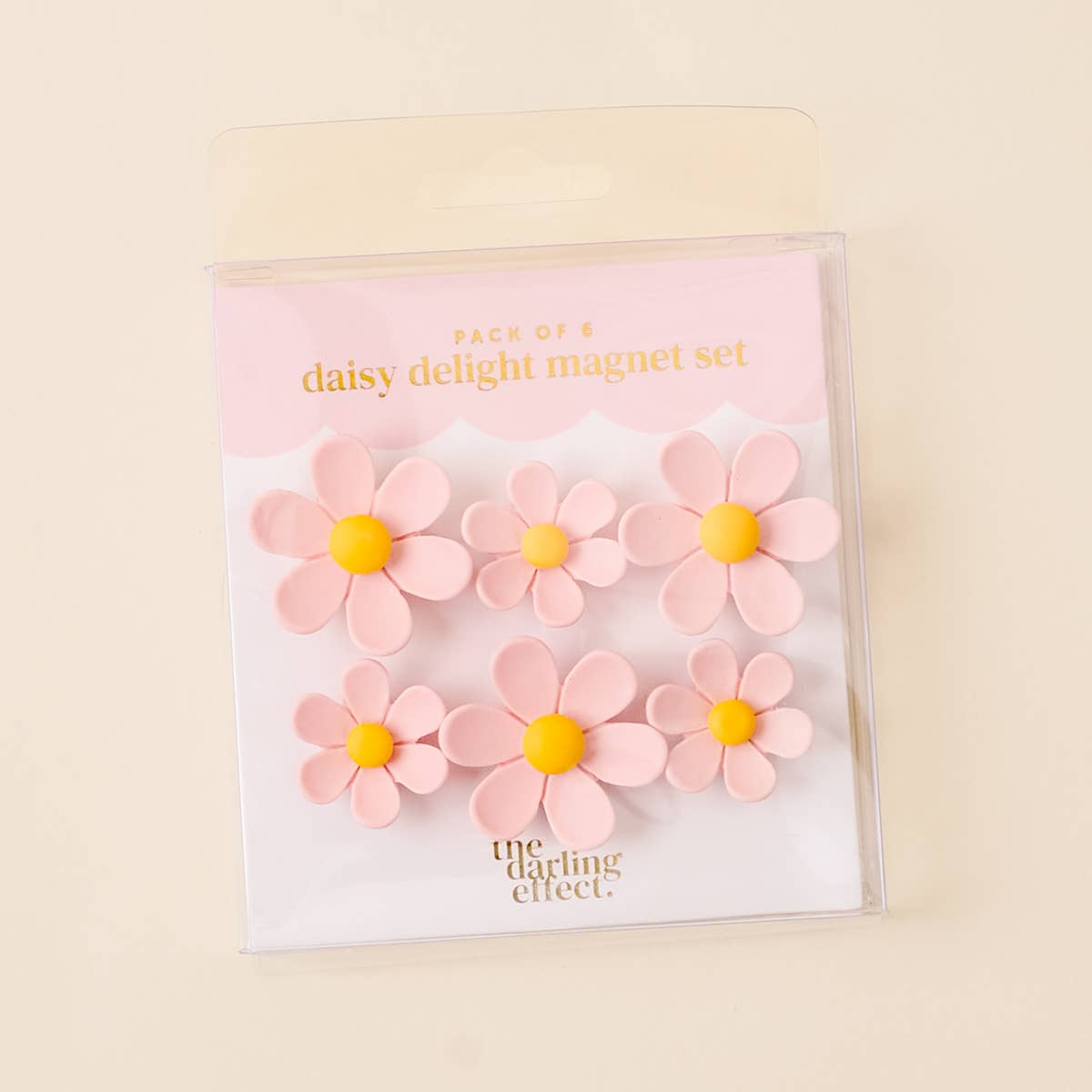 Pink Daisy Delight Magnet Set