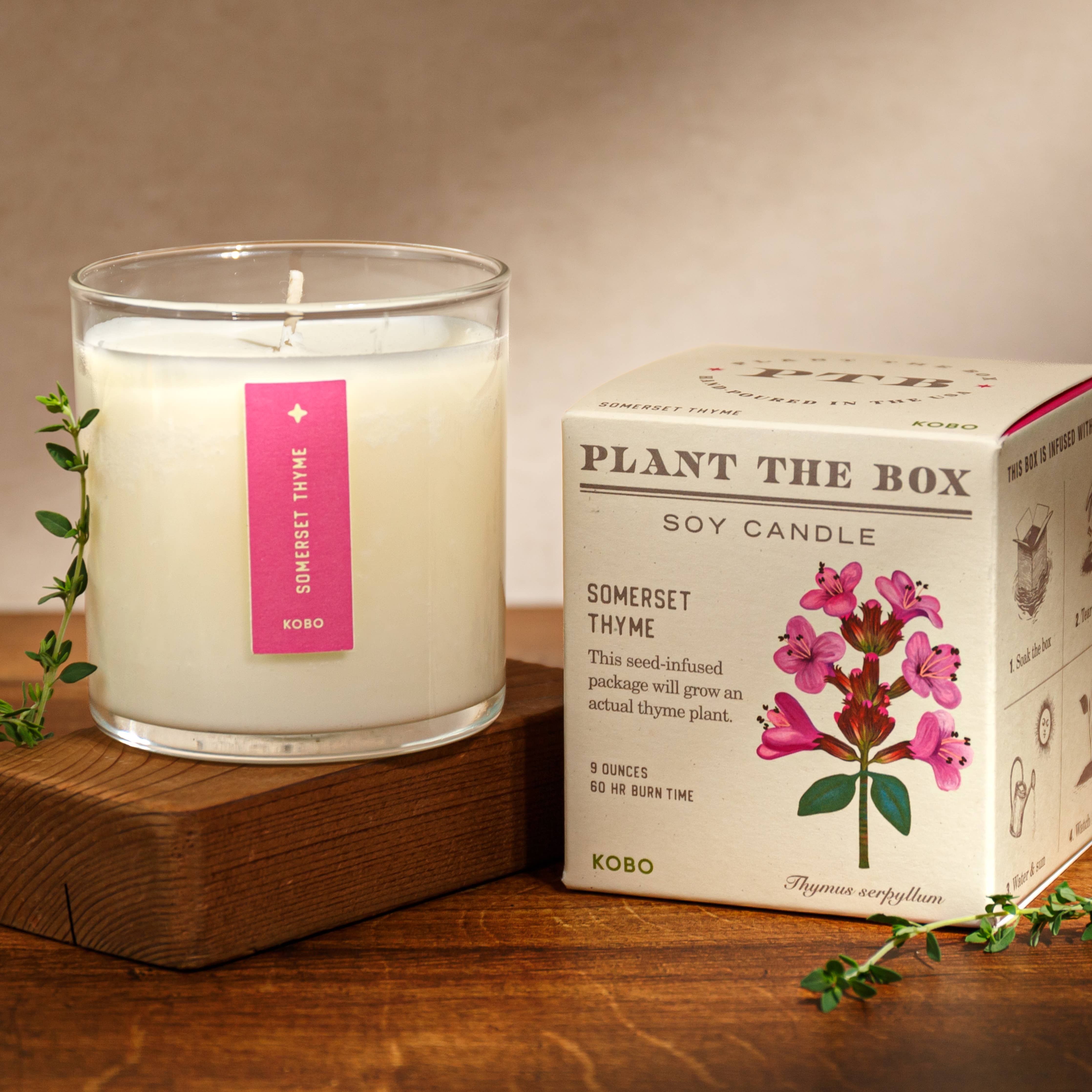 Somerset Thyme Plant the Box Candle