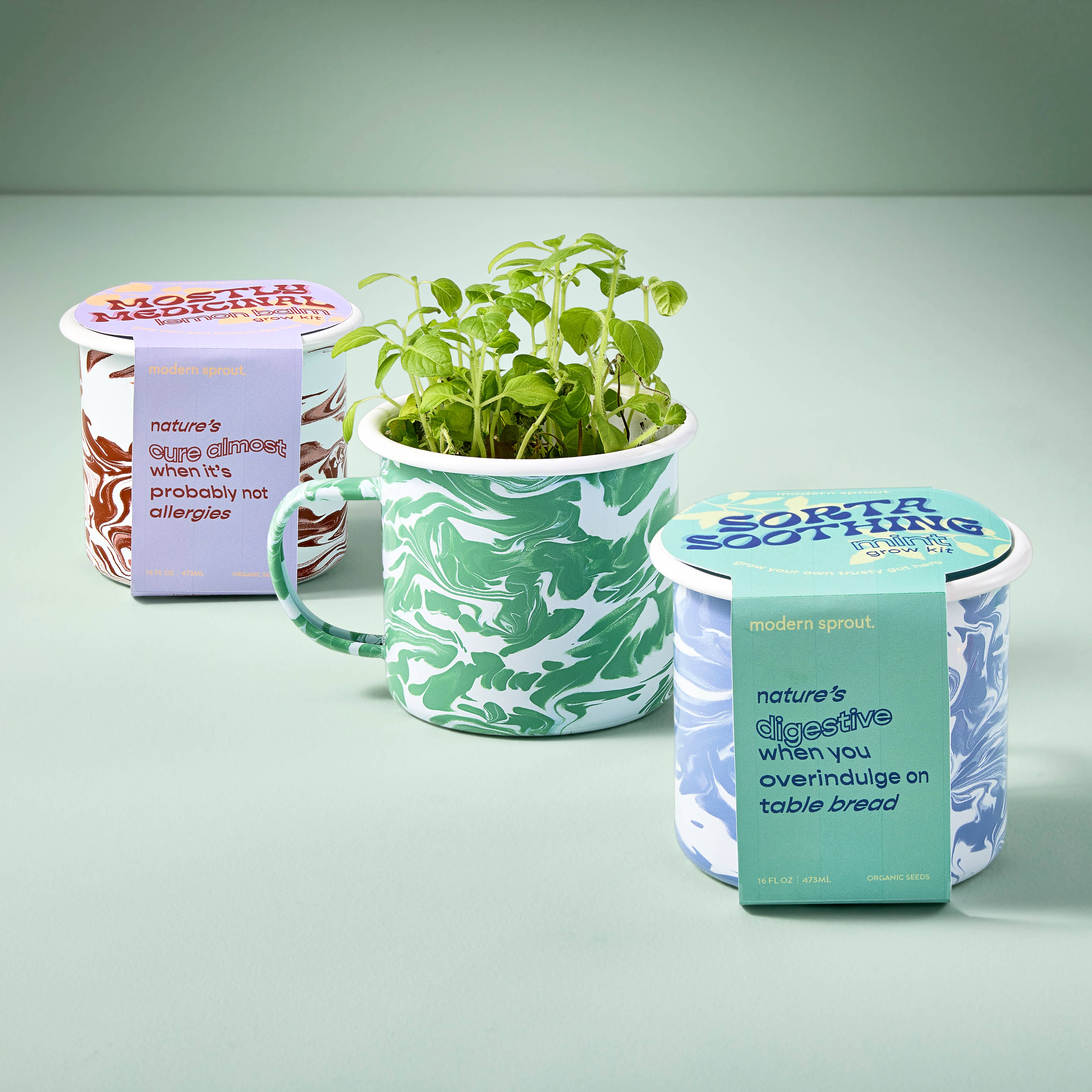 Nearly Nirvana Holy Basil Mug Grow Kit
