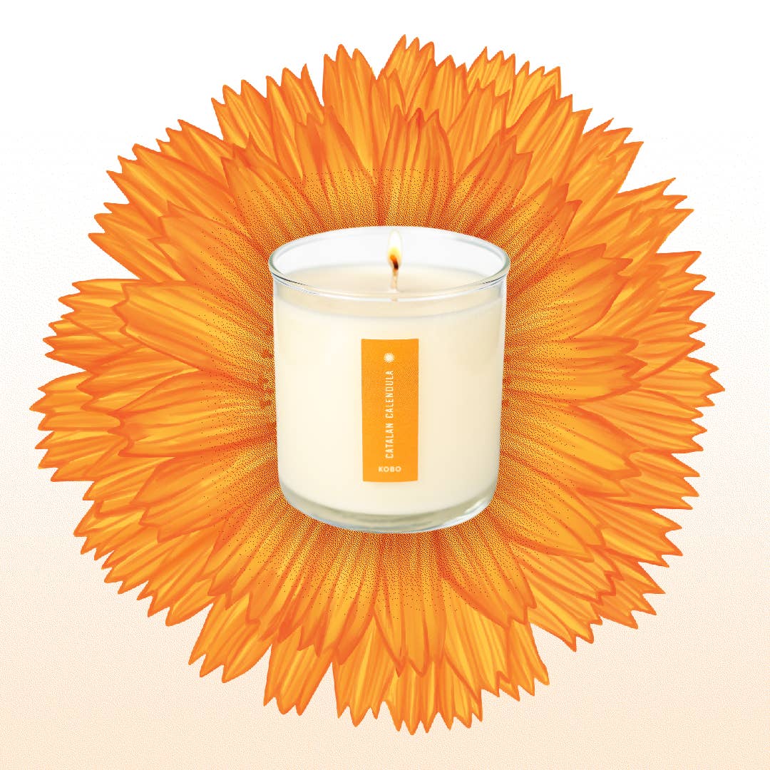 Catalan Calendula Plant the Box Candle