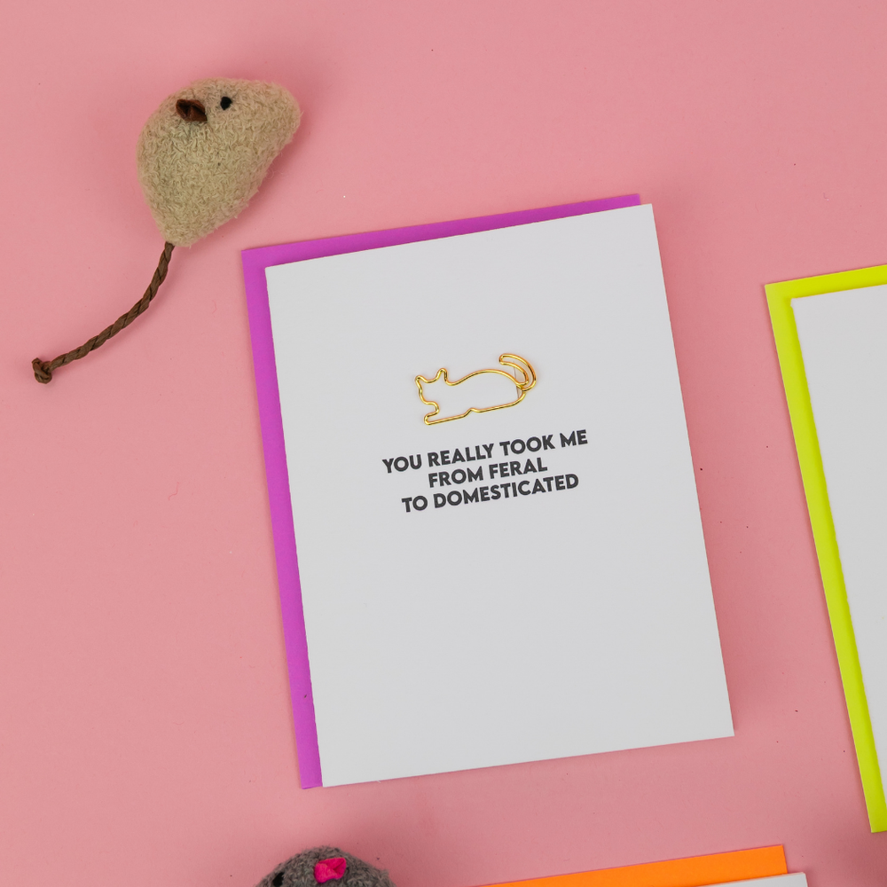 You Took Me From Feral To Domesticated Paper Clip Card