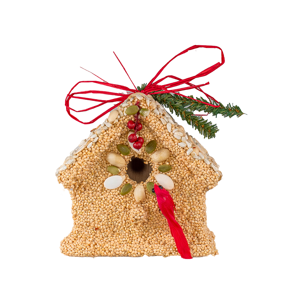 Hanging seed birdhouse ornament with red ribbon, evergreen, red berries, and white flower detail