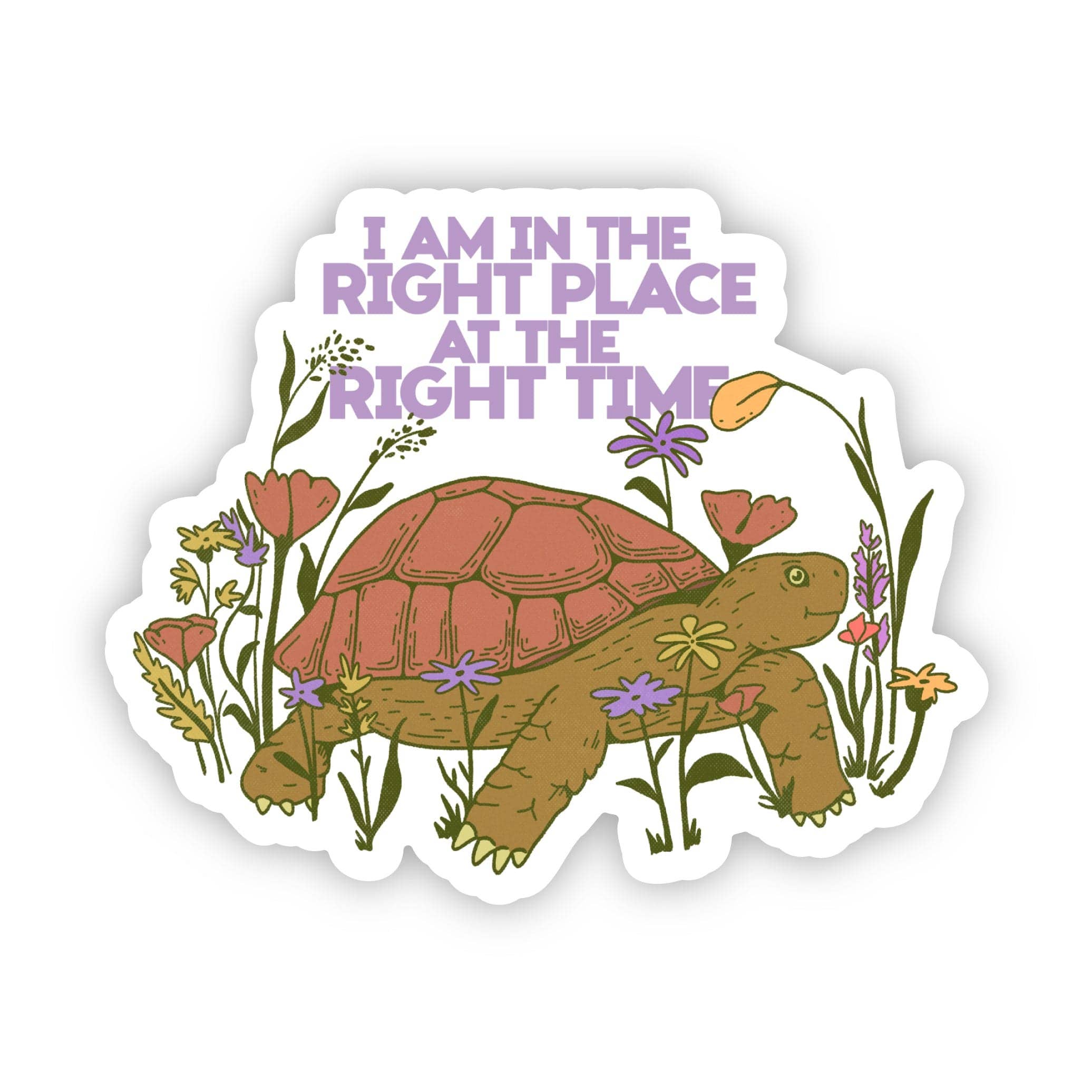 Right Place Turtle Sticker