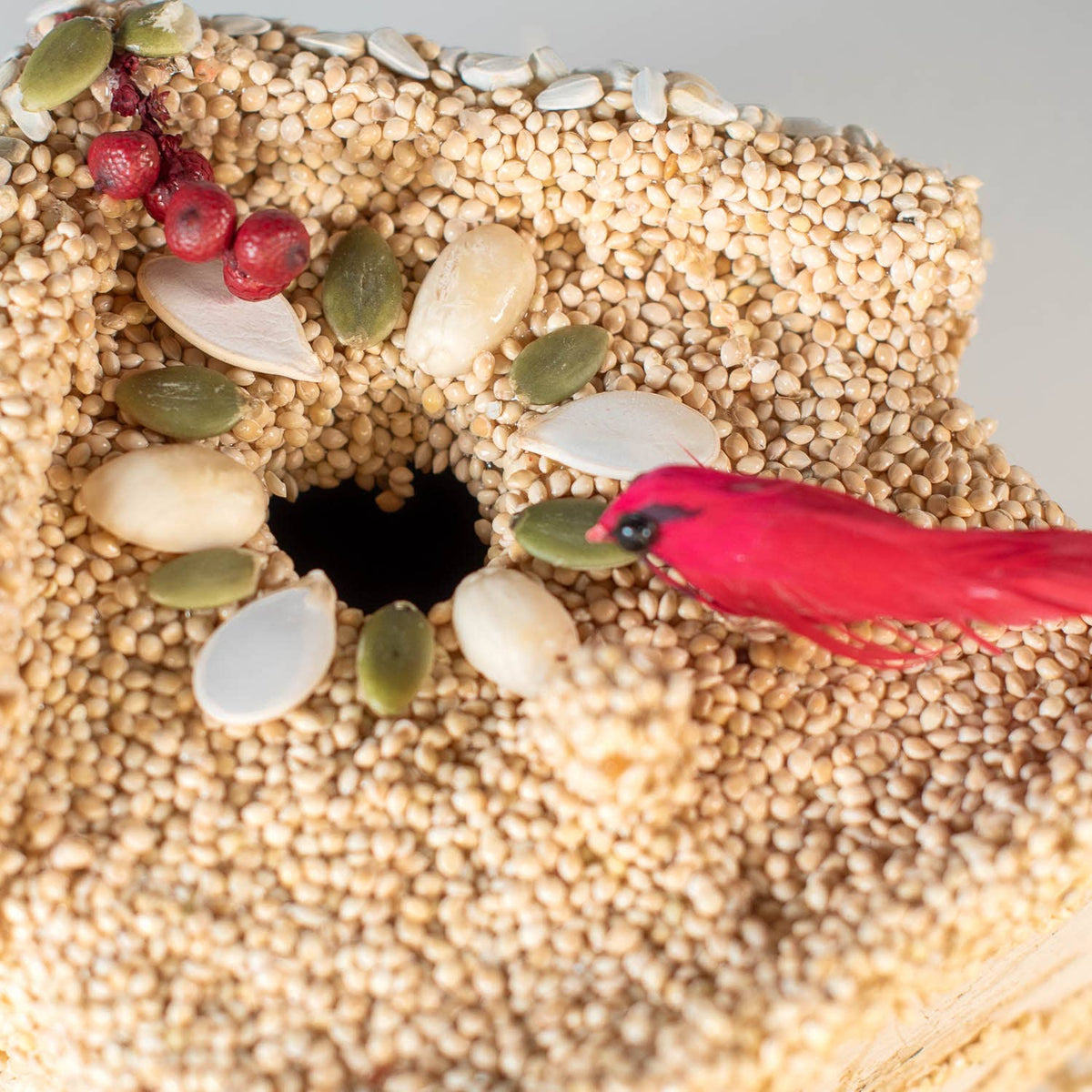 Close-up seed birdie cottage with a small red bird at the opening and leaf-and-berry trim