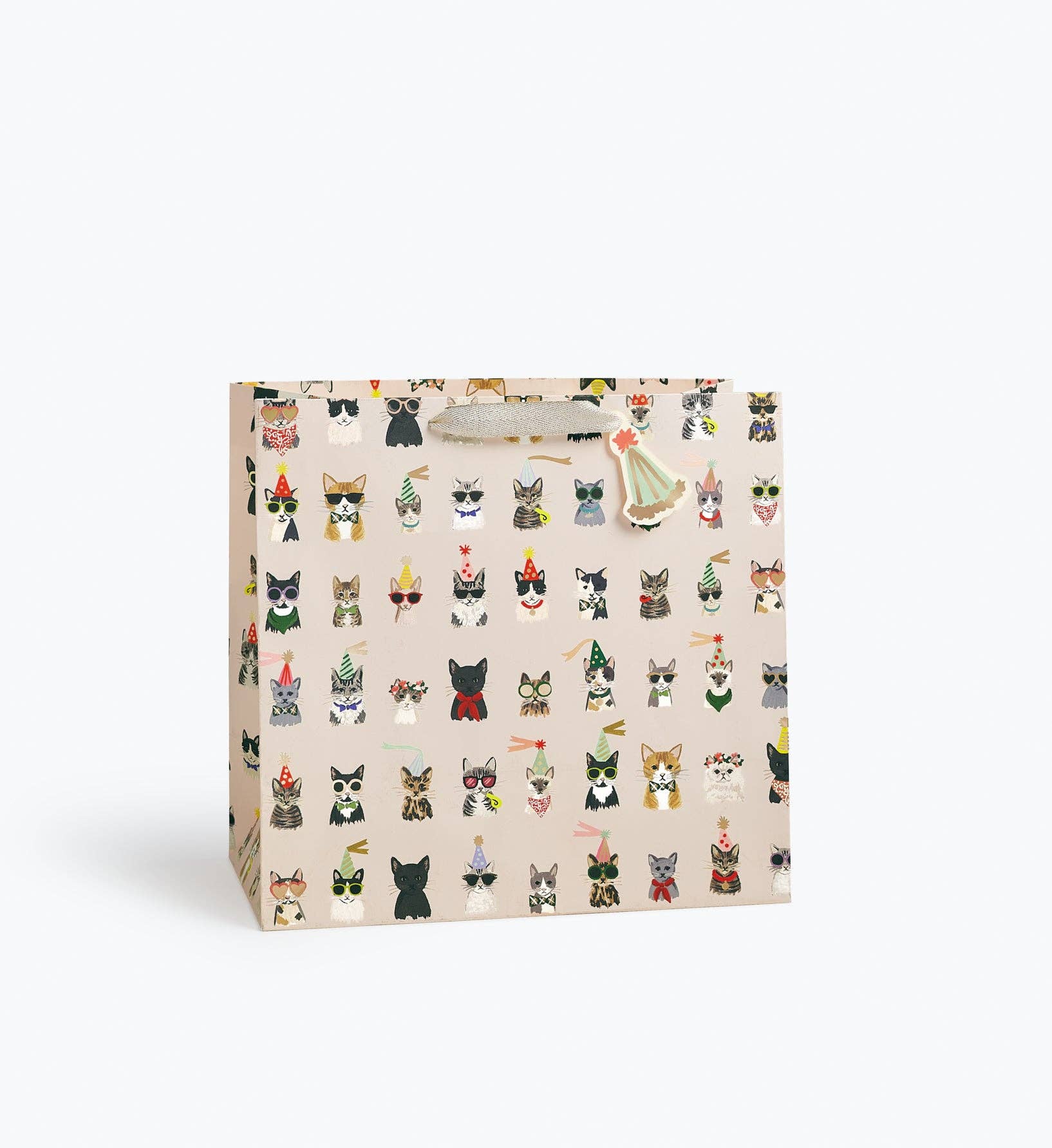 Party Cats Gift Bag