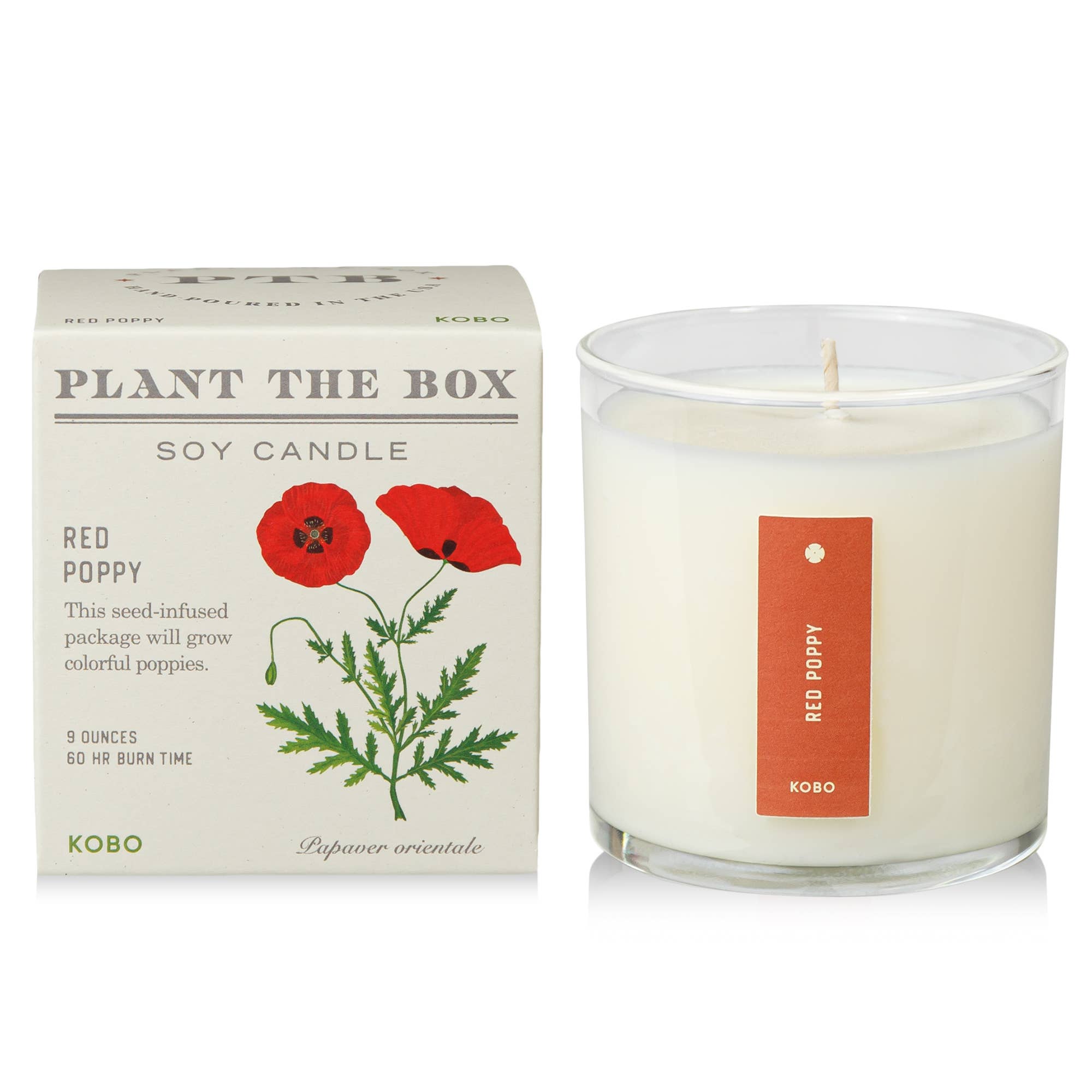 Red Poppy Plant the Box Candle