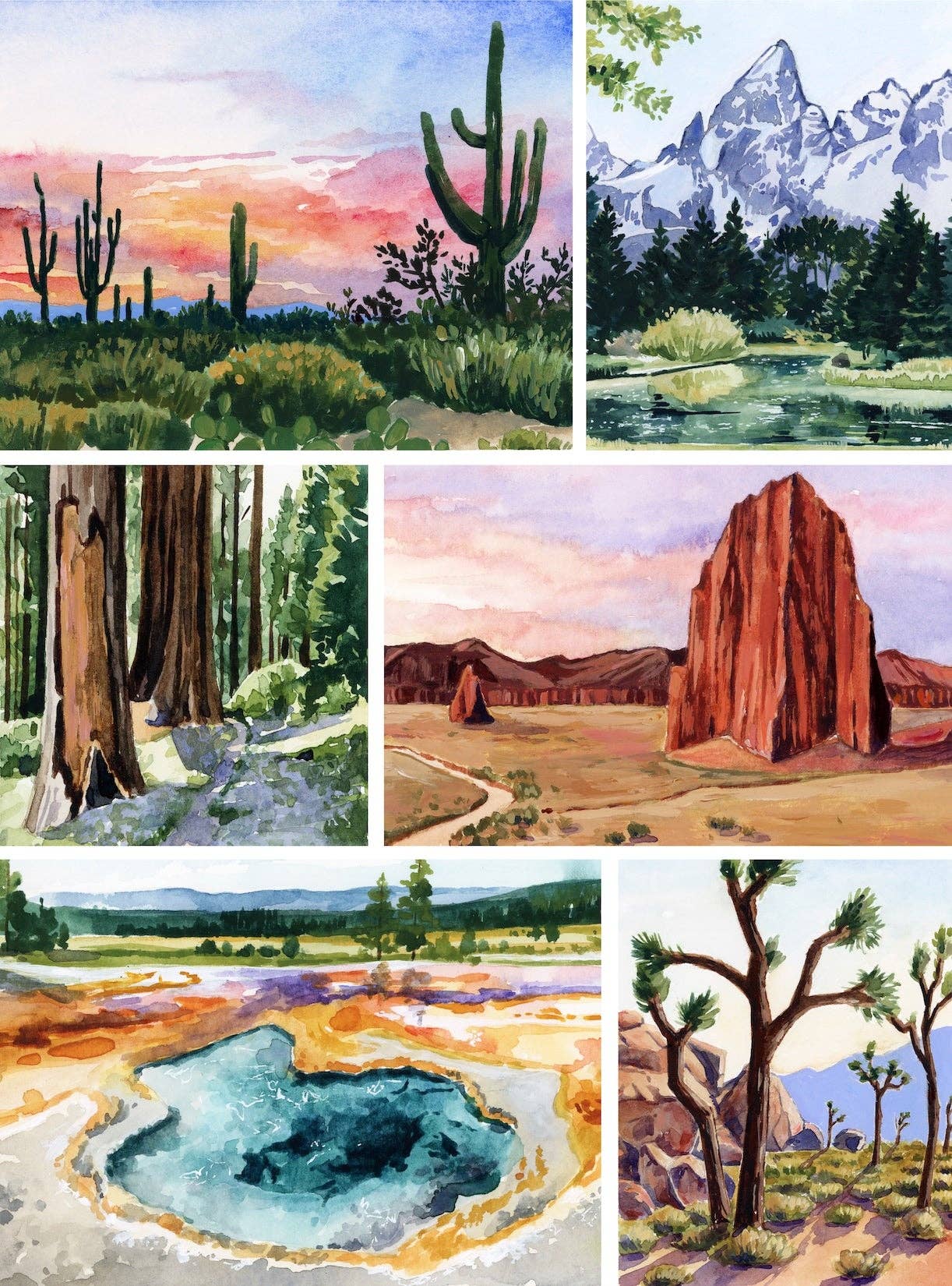 Parks of the West 1000 Piece National Park Puzzle