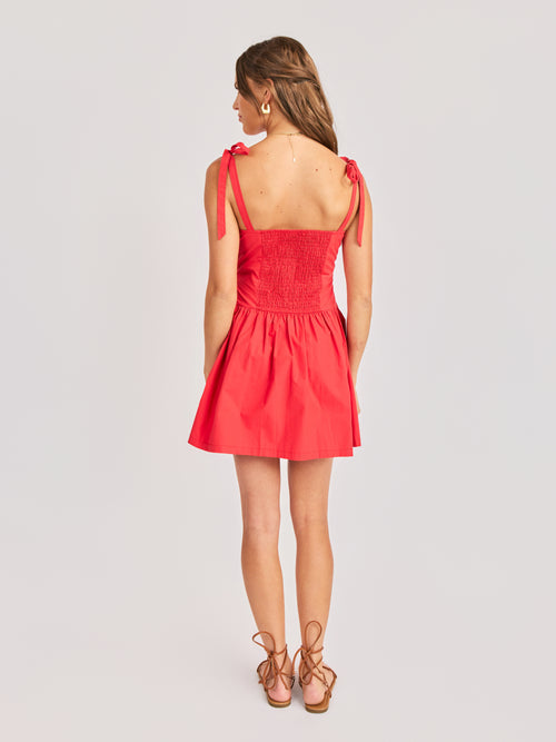 Canyon Pinktuck Mini Dress