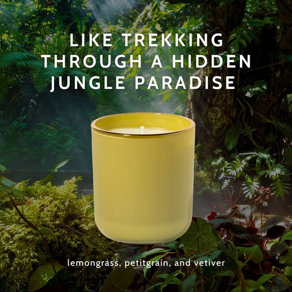 Lost Jungle Glass Candle