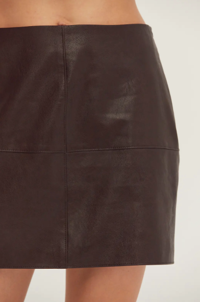 Vianna Vegan Leather Column Mini Skirt