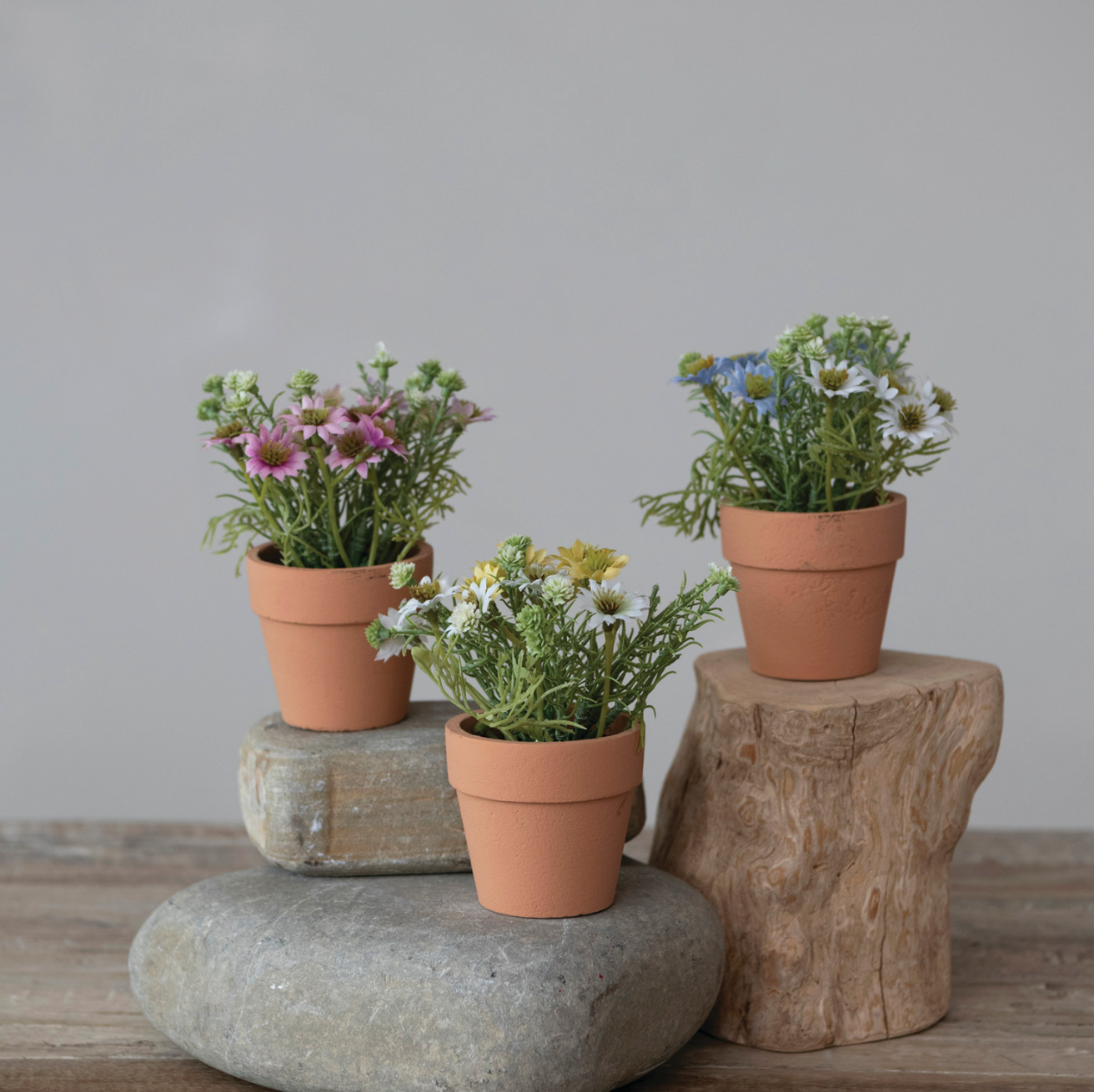 Faux Cosmos in Paper Mache Pot