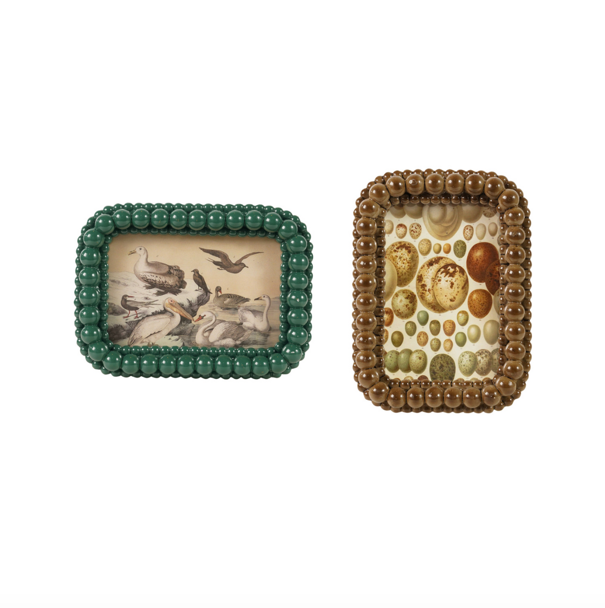 Rustic circle bobbin photo frames, moss green and walnut, beaded border, portrait size