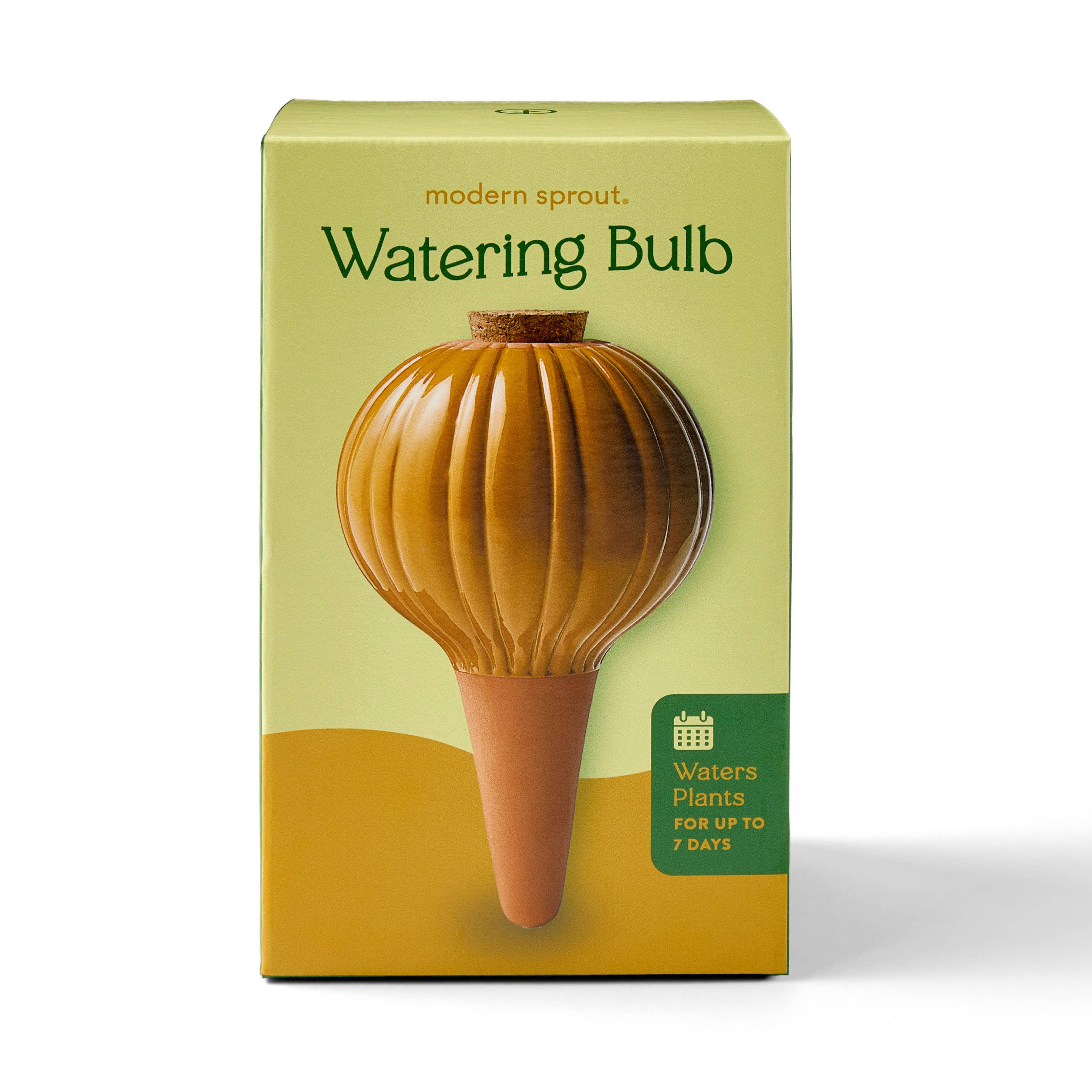 Terracotta Watering Bulb