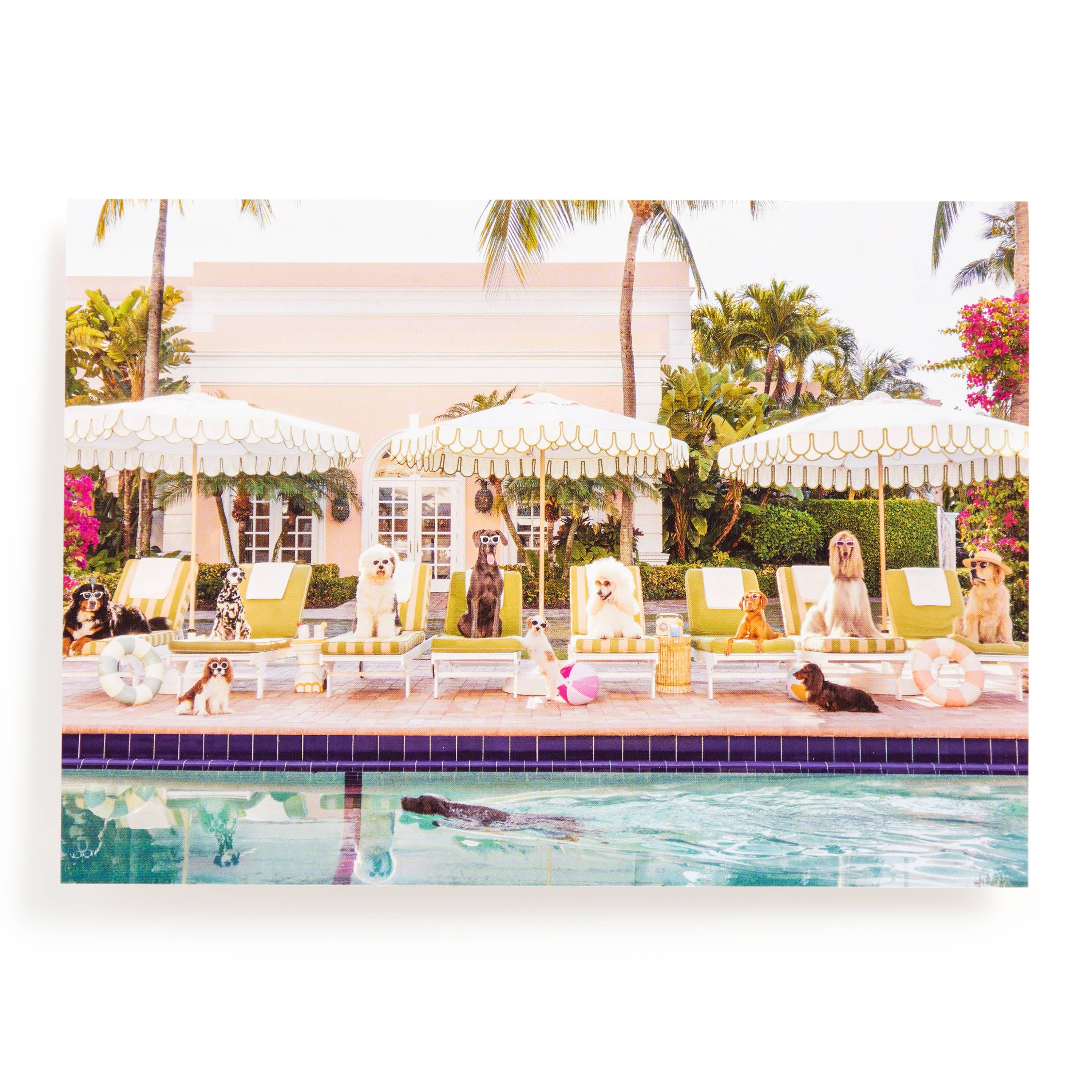 Palm Beach Gray Malin 1000 Piece Book Puzzle