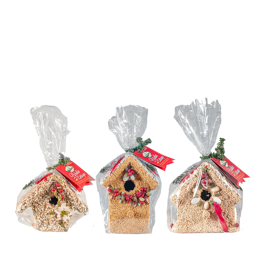 Set of three seed birdhouse ornaments in clear wrap with red tags and white flower accents
