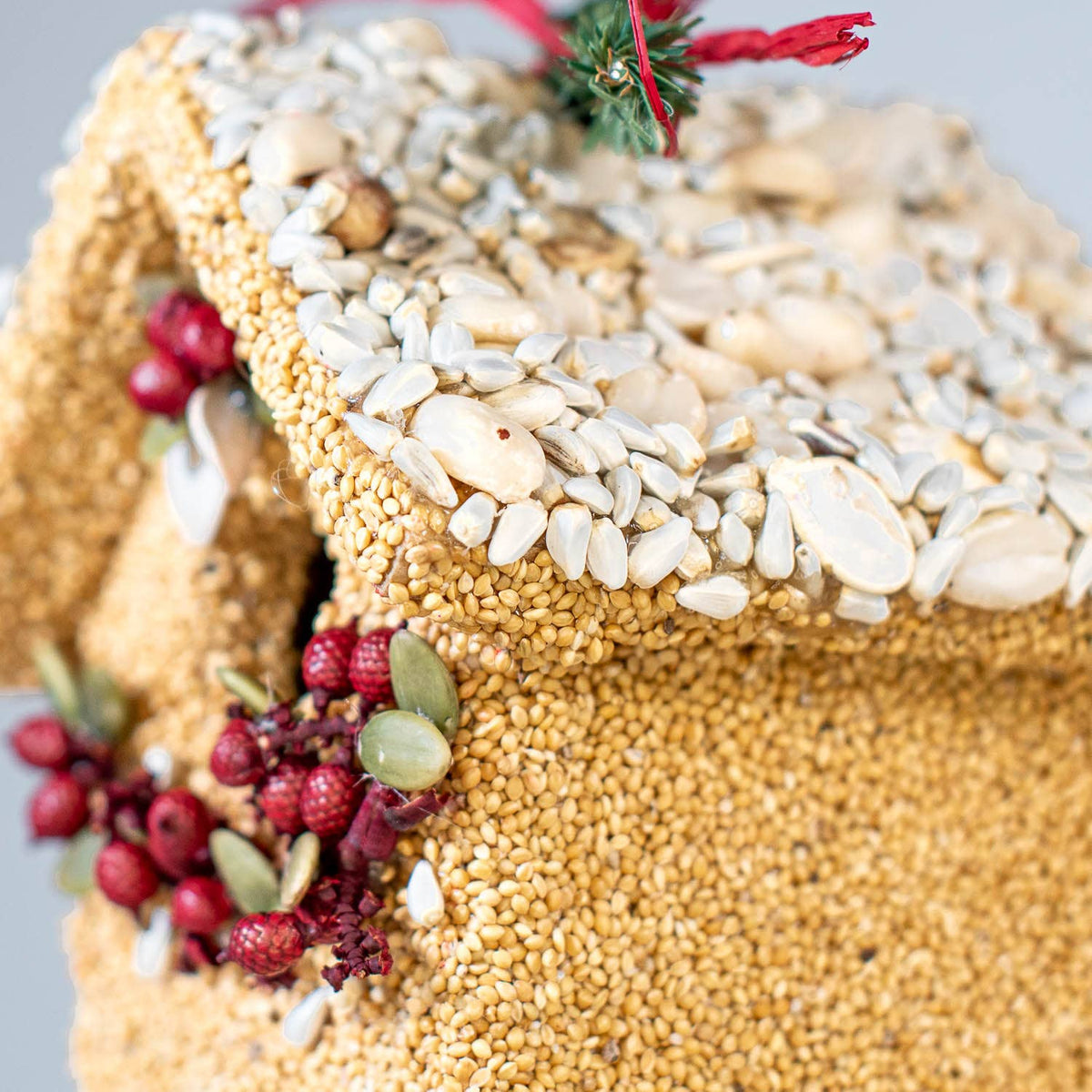 Seed birdie cottage close-up with white shell-like trim, red berries, and green leaf accents