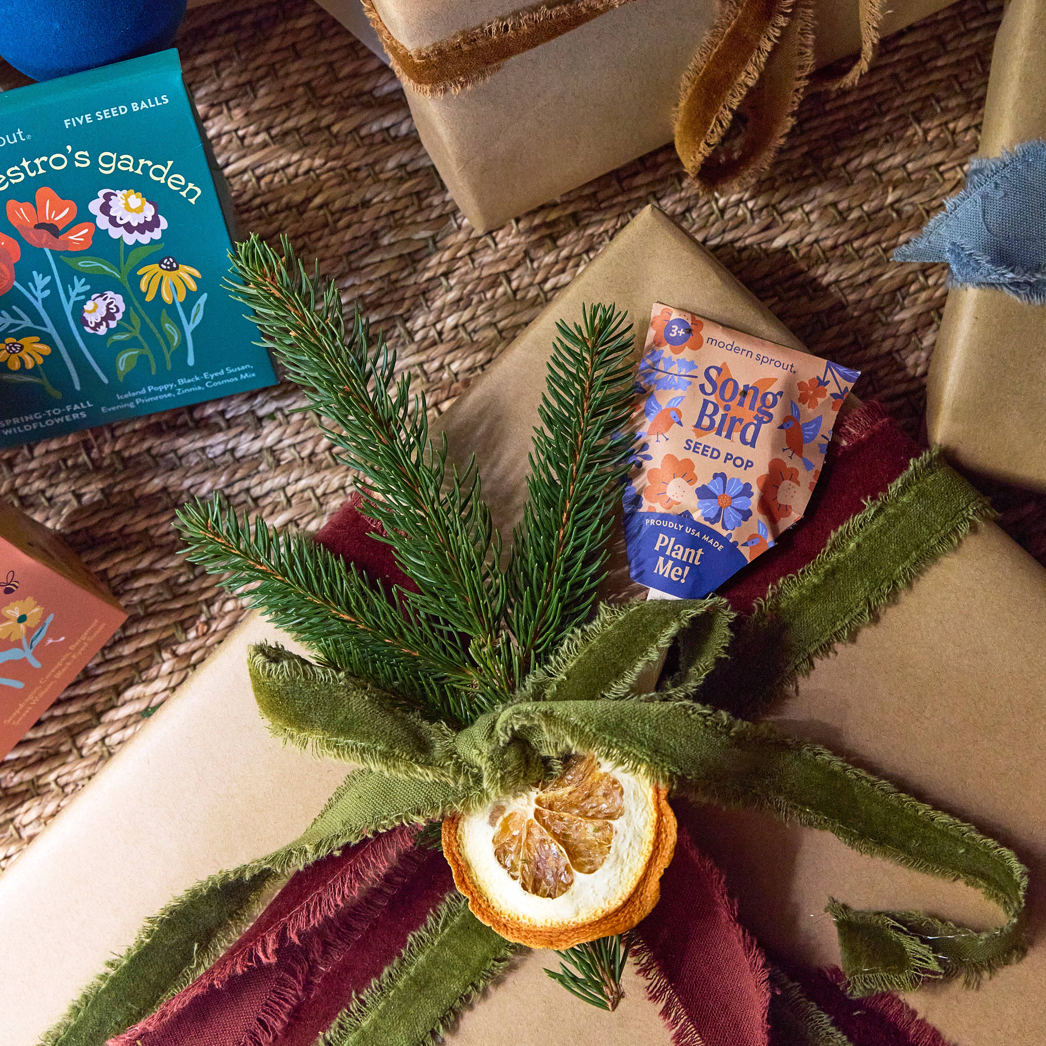 Pollinator Single Seed Pop