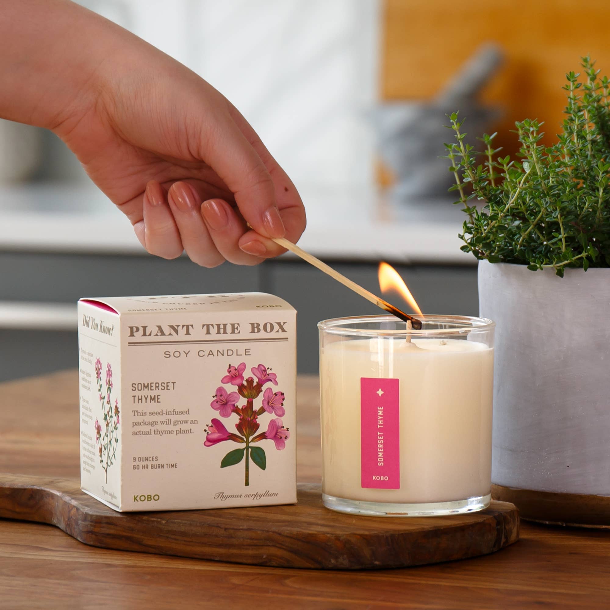 Somerset Thyme Plant the Box Candle