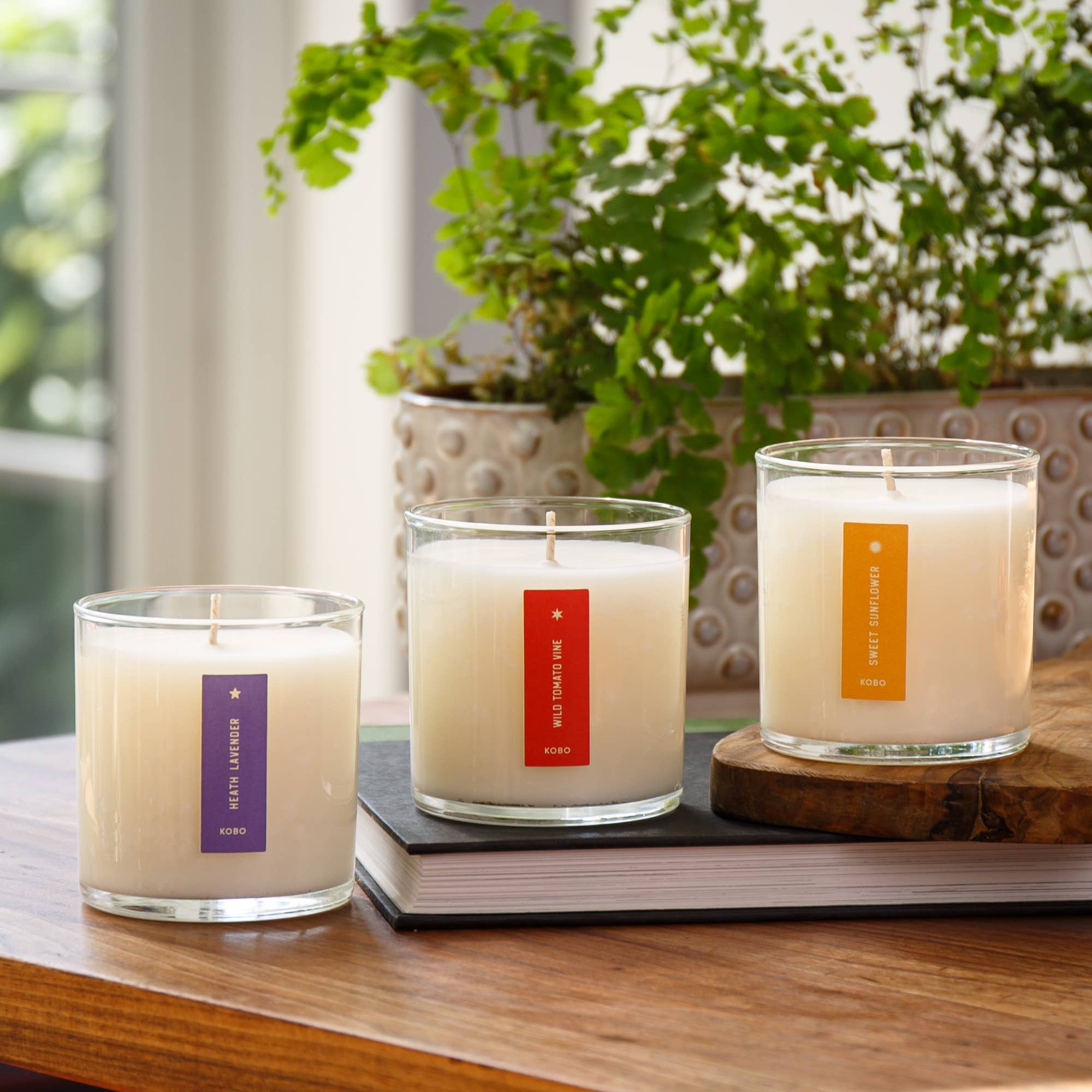 Heath Lavender Plant the Box Candle