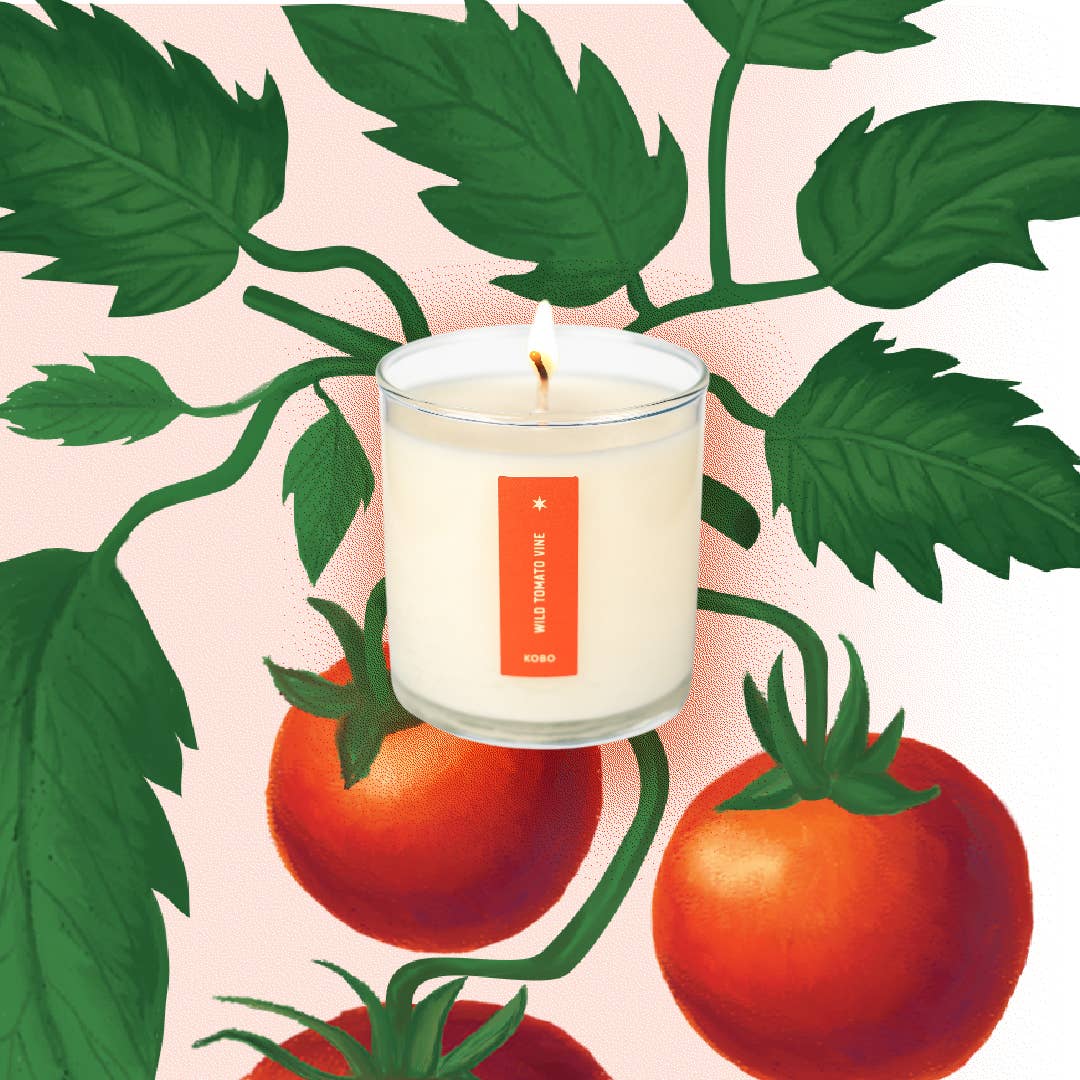 Wild Tomato Vine Plant the Box Candle