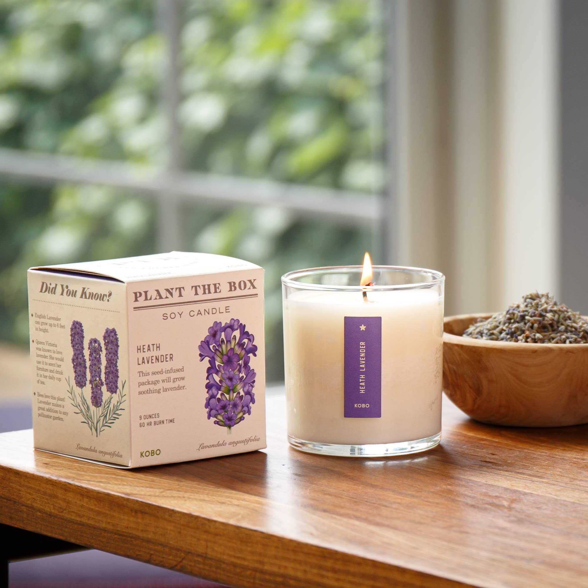 Heath Lavender Plant the Box Candle