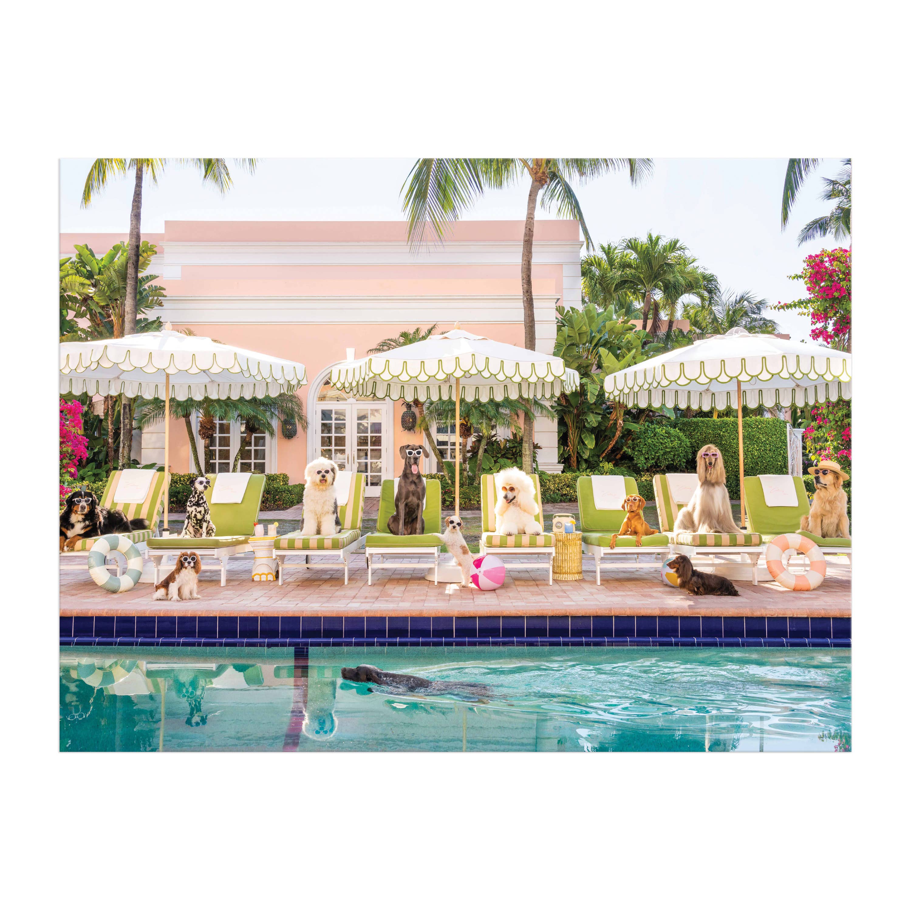 Palm Beach Gray Malin 1000 Piece Book Puzzle