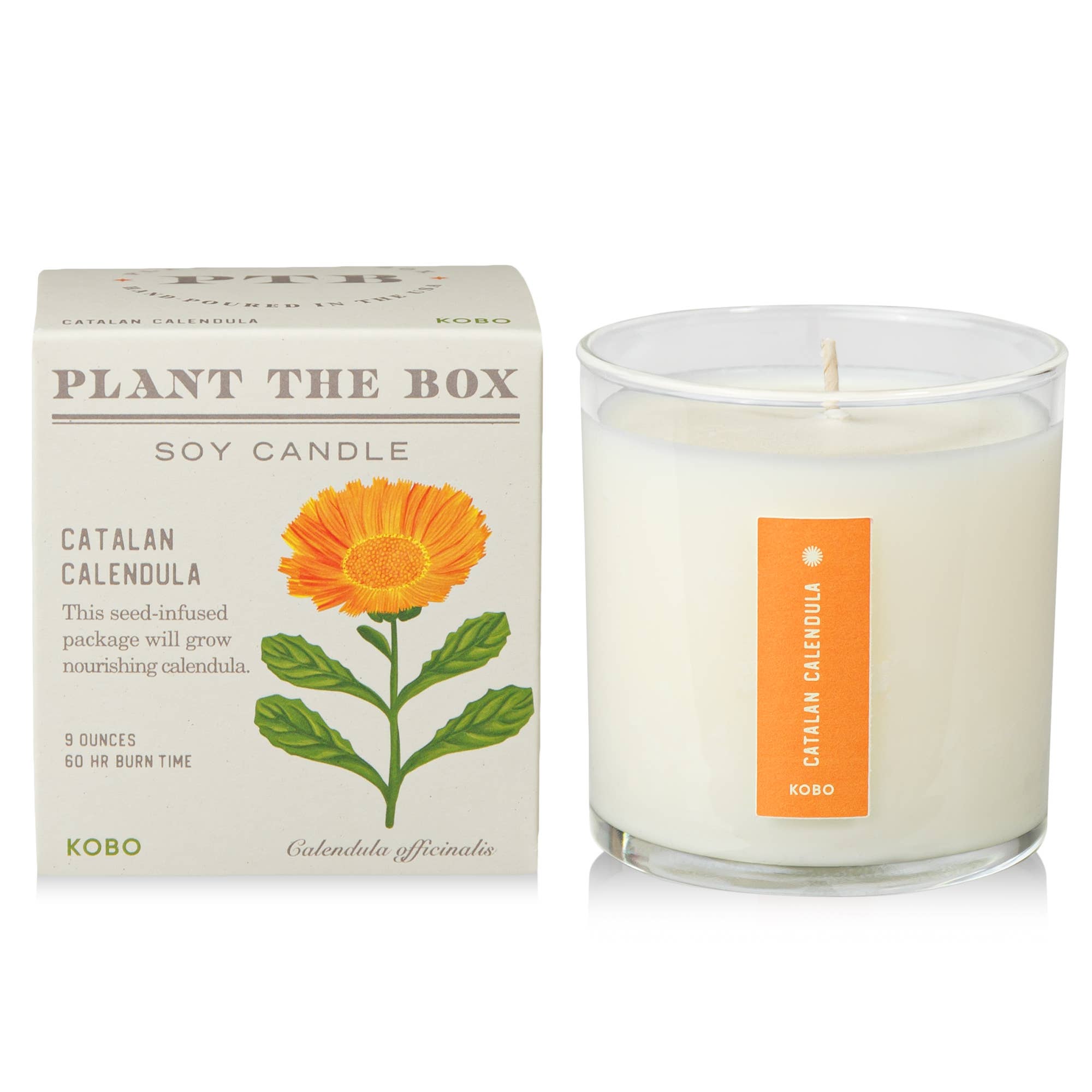 Catalan Calendula Plant the Box Candle