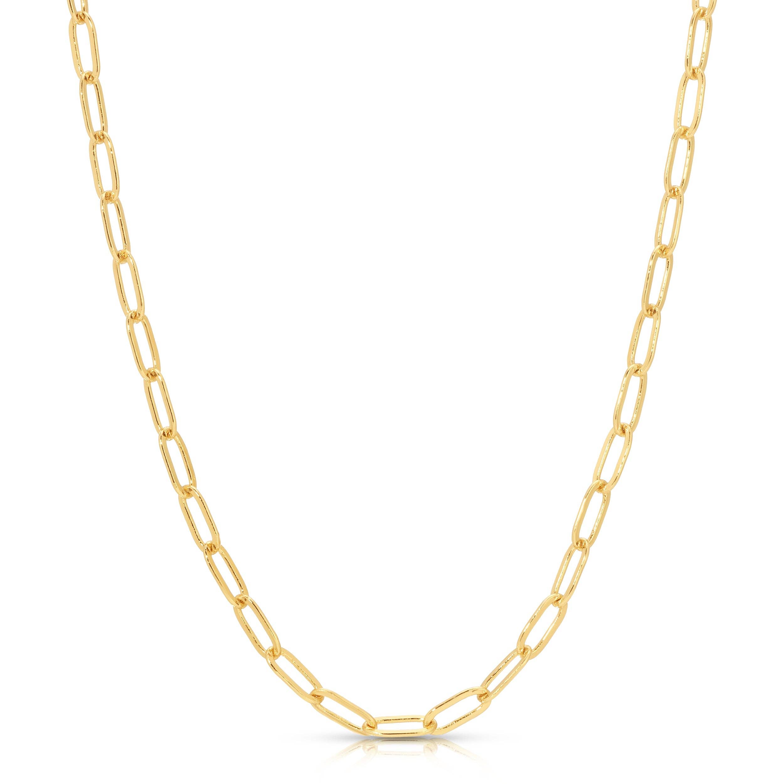 Charm Garden Paperclip Necklace Chain