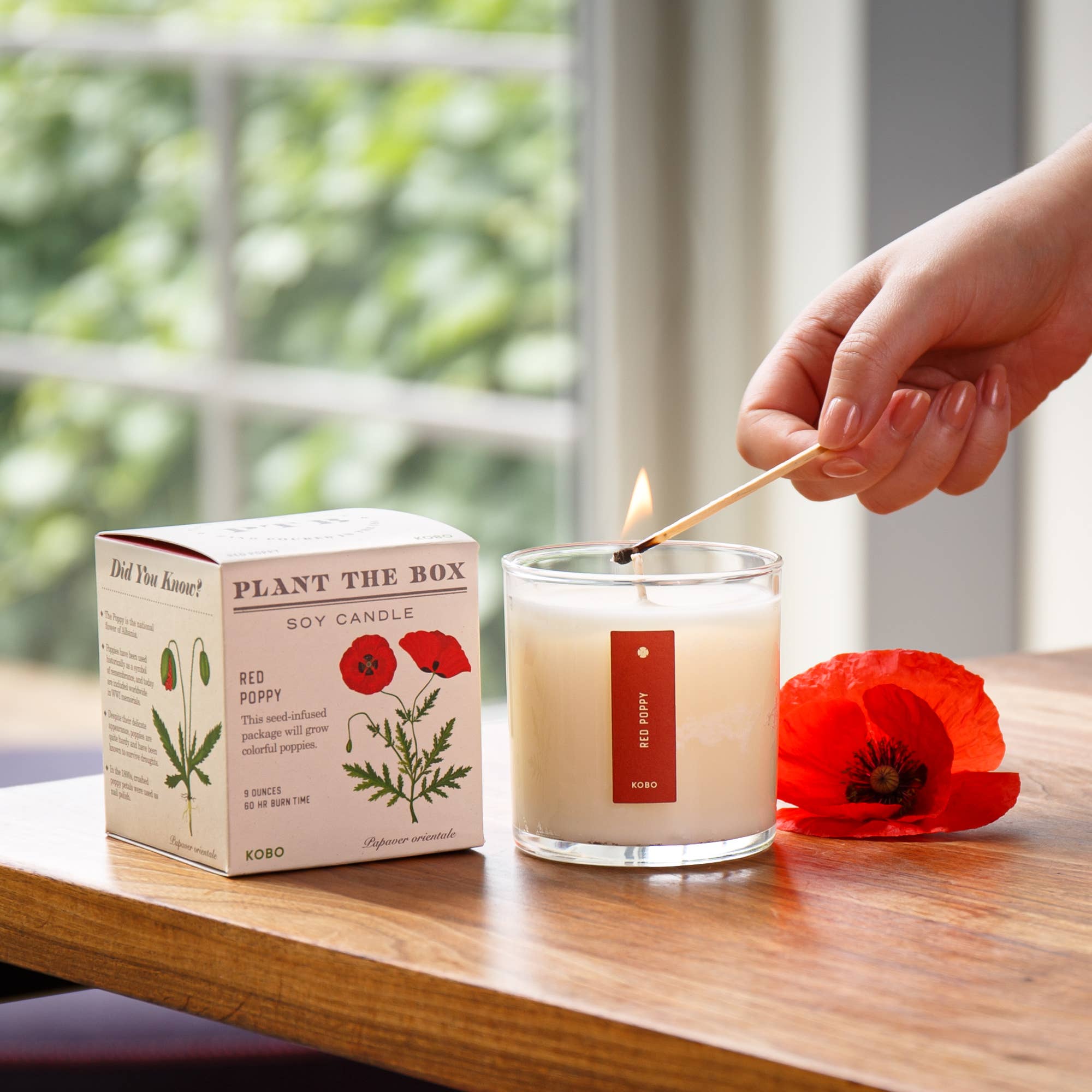 Red Poppy Plant the Box Candle