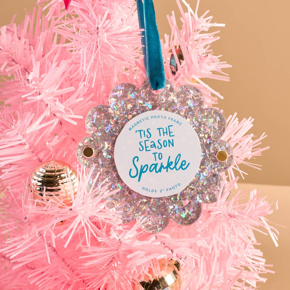 Silver glitter scalloped photo frame ornament with blue ribbon and 'Tis the Season to Sparkle' card