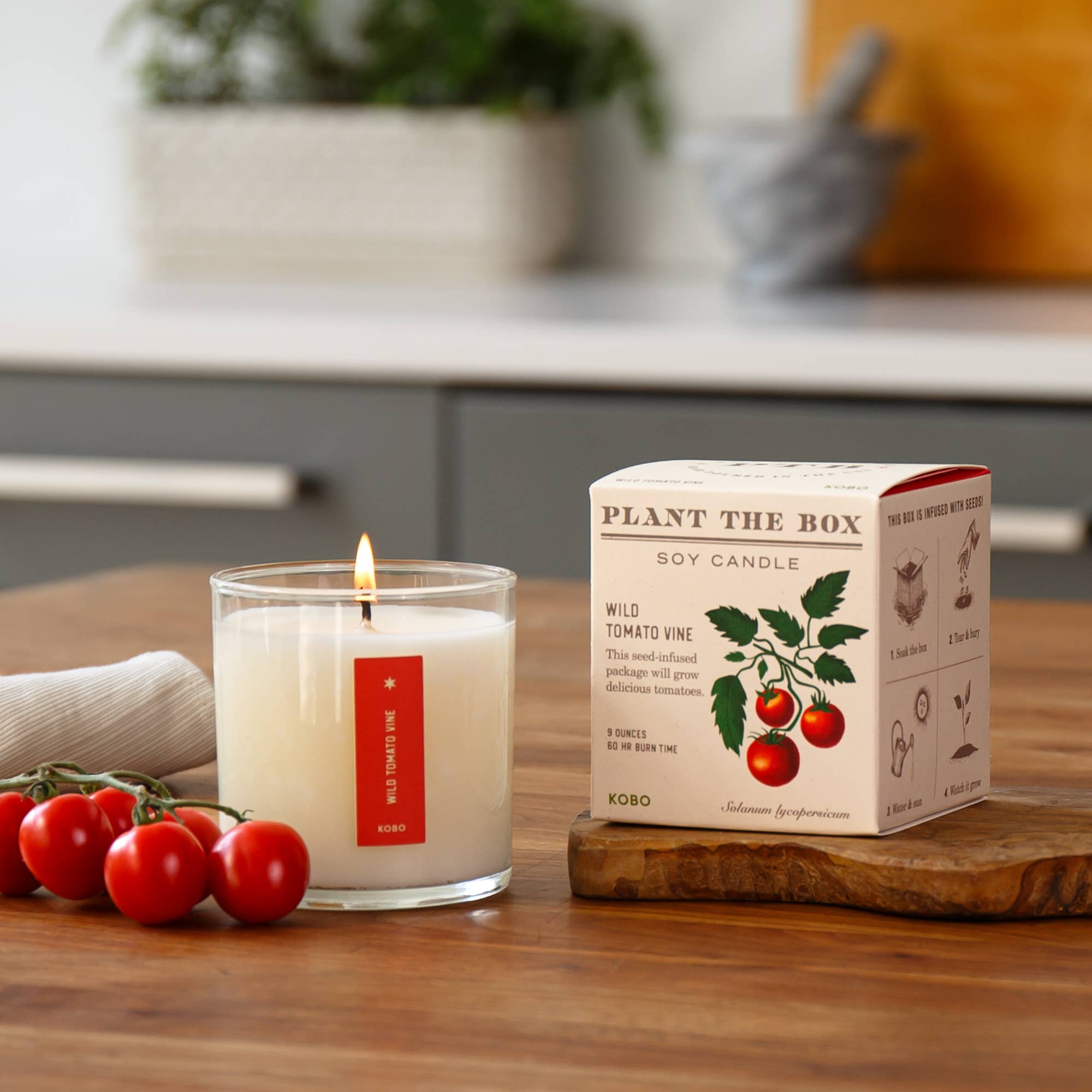Wild Tomato Vine Plant the Box Candle