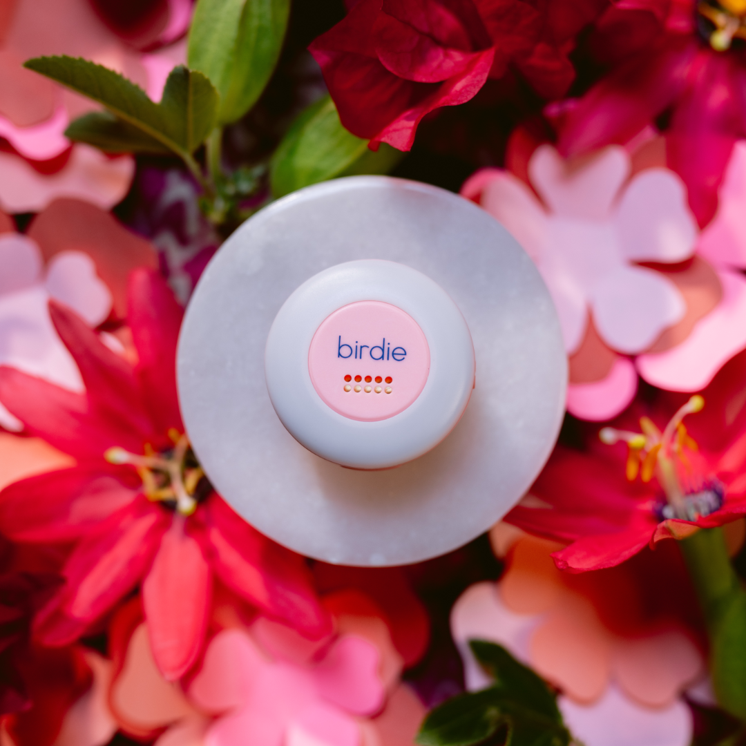 Birdie Safety Disc