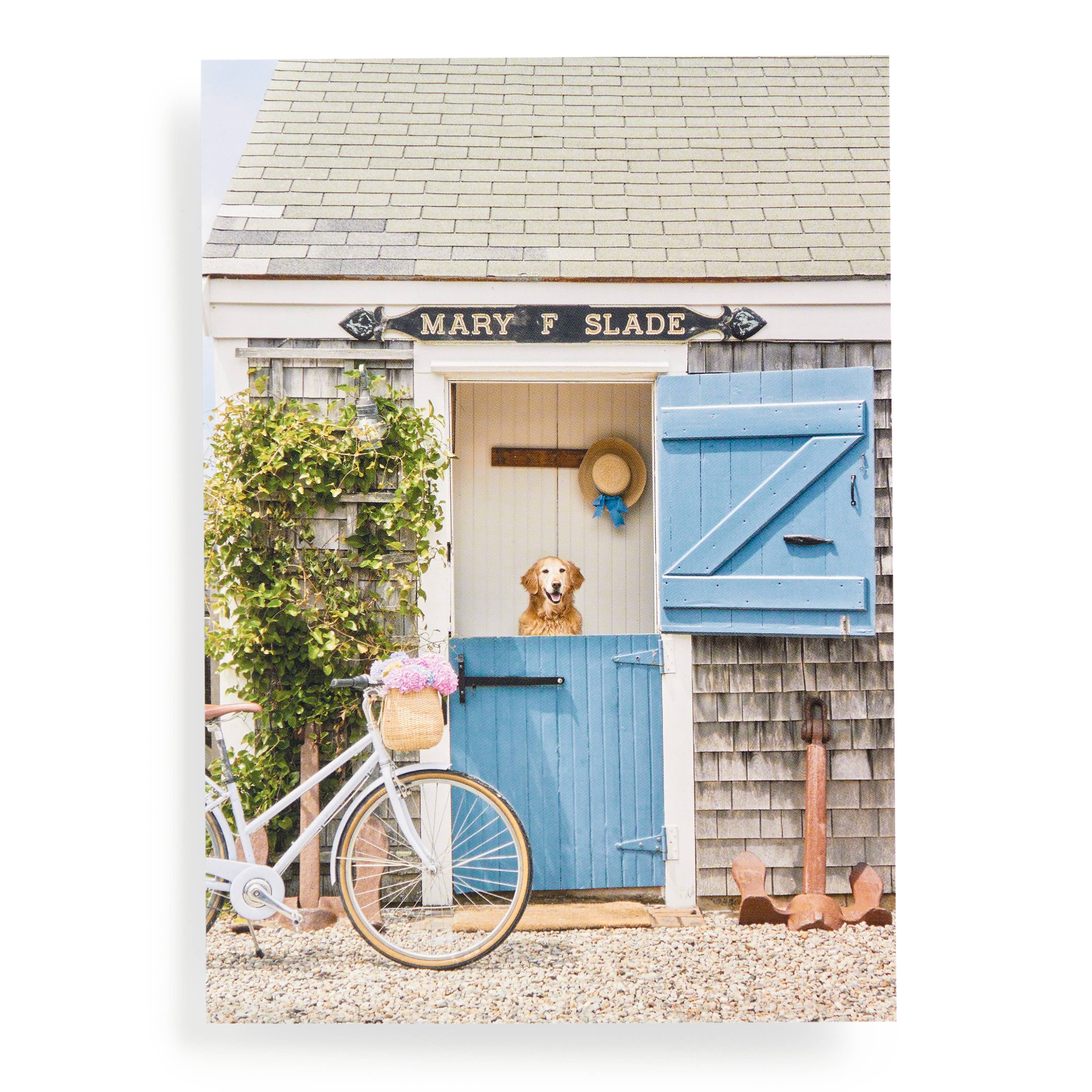 Nantucket Gray Malin 1000 Piece Book Box Puzzle