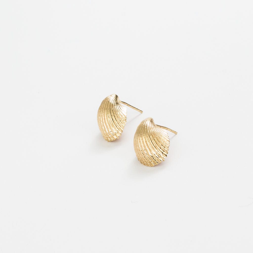Pearl Cockle Shell Earrings