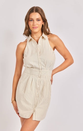 Classic Beauty Mini Dress