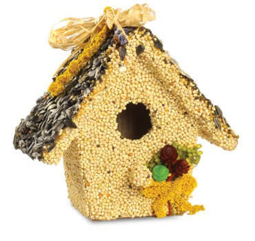 Birdie Cottage All Season Feeder