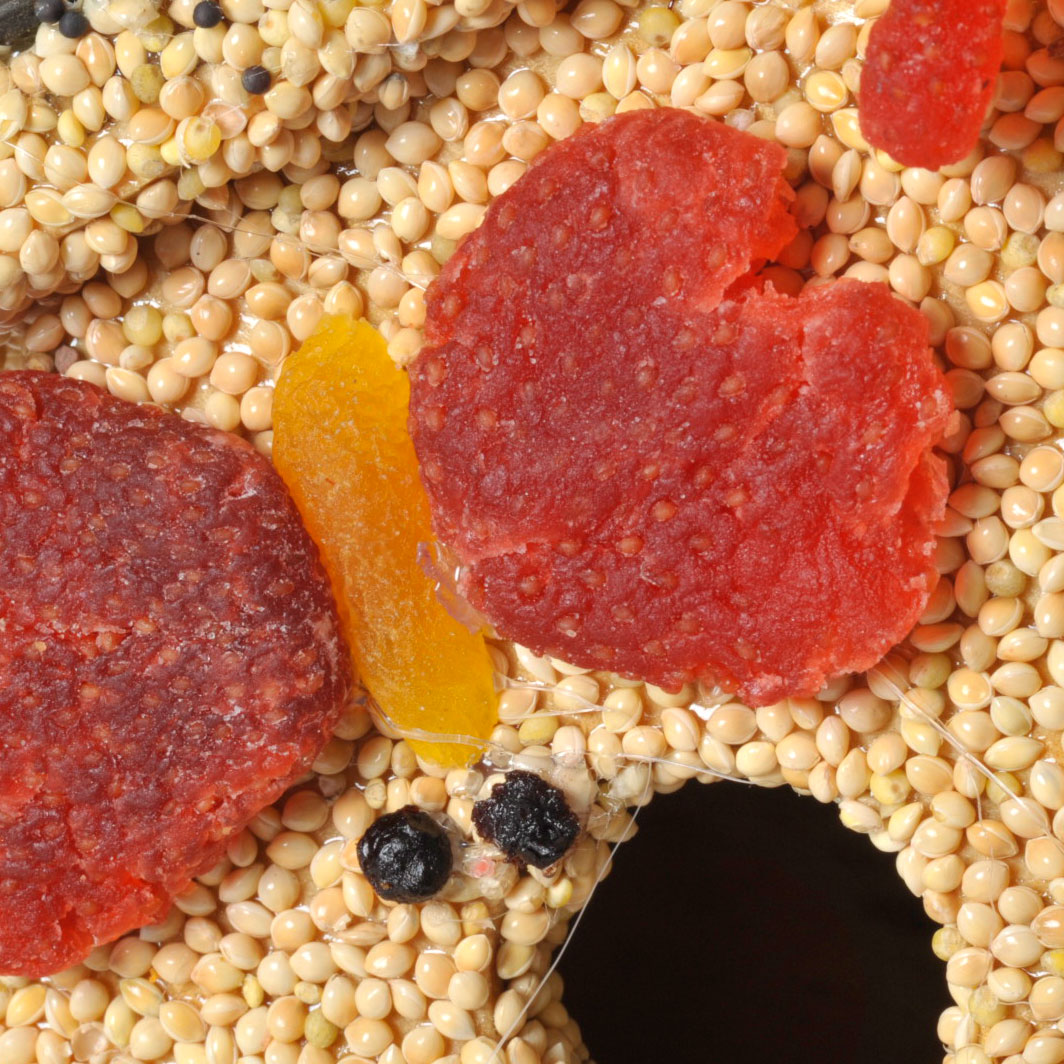 Bird Feeder Spring Fruit B&B